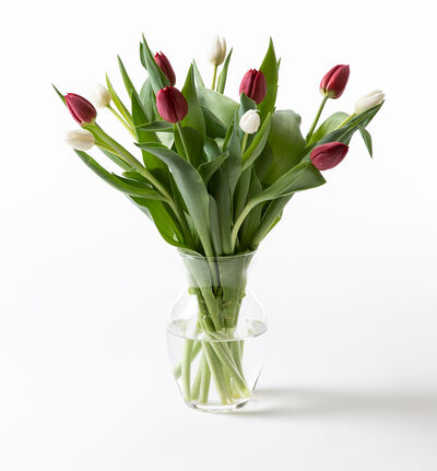 Rød og hvit tulipanbukett liten